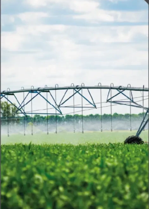 Início de agricultura irrigada nas regionais

Implantação da termoelétrica na Siderúrgica Alterosa, utilizando gases produzidos pelos altos-fornos