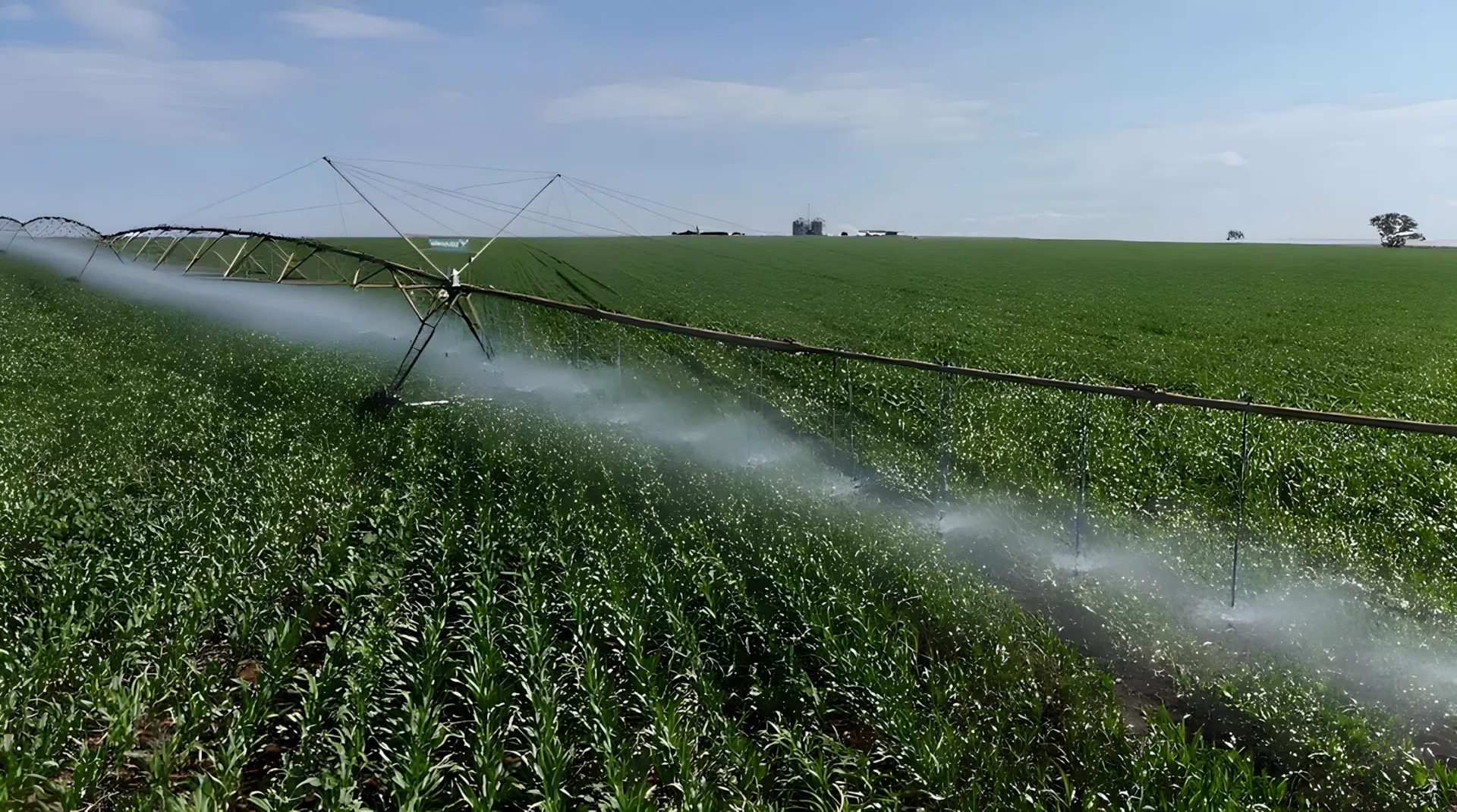 Produtos Agroflorestais
